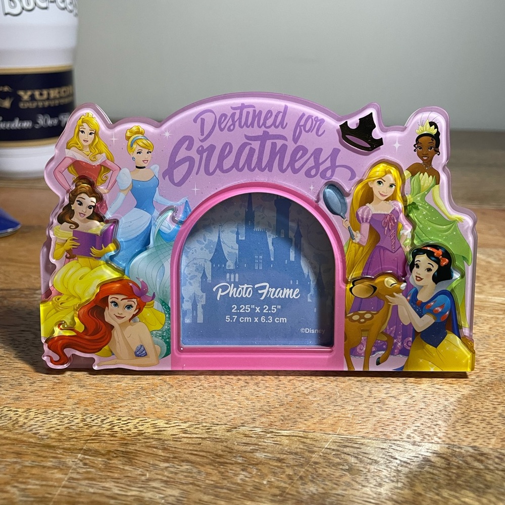 Disney Princess Photo Frame Magnet
